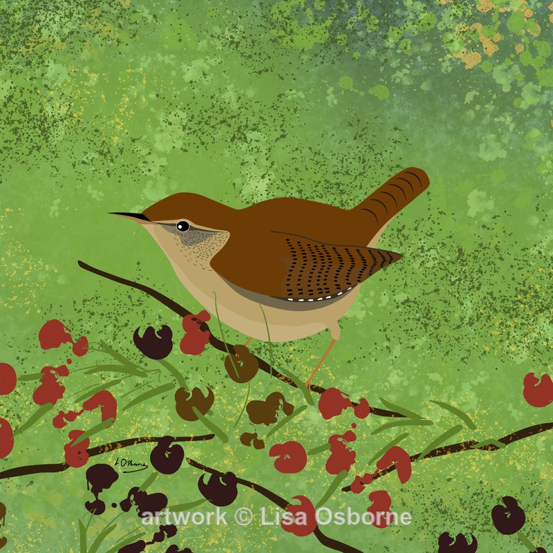 Wren - DIGITAL ARTWORK