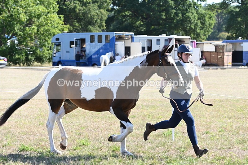 WJ6_4206 - Class 16 Condition & Turn Out