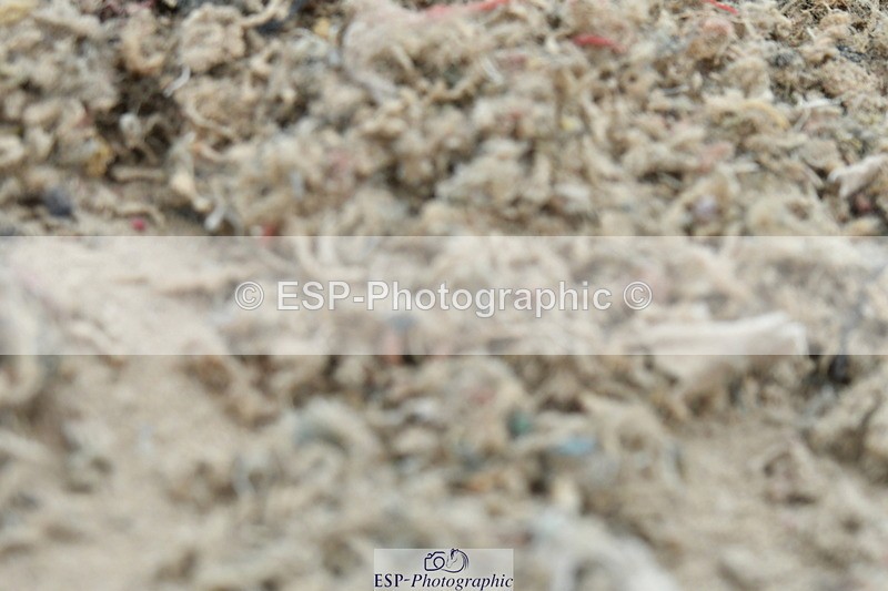 230304A-124707-00490 - Cls 8 Elementary 59