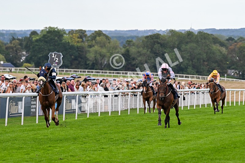 300826-Race 7-Marbuzet-1931 - Race 7 5.05pm Napoleons Casino And Restaurant Hull Apprentice Handicap