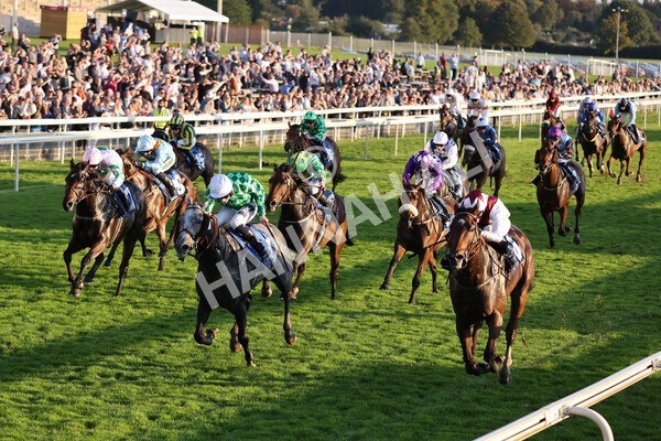 yr08102021r7-23 - Race 7 5.25pm The IRE Incentive, It Pays To Buy Irish Handicap