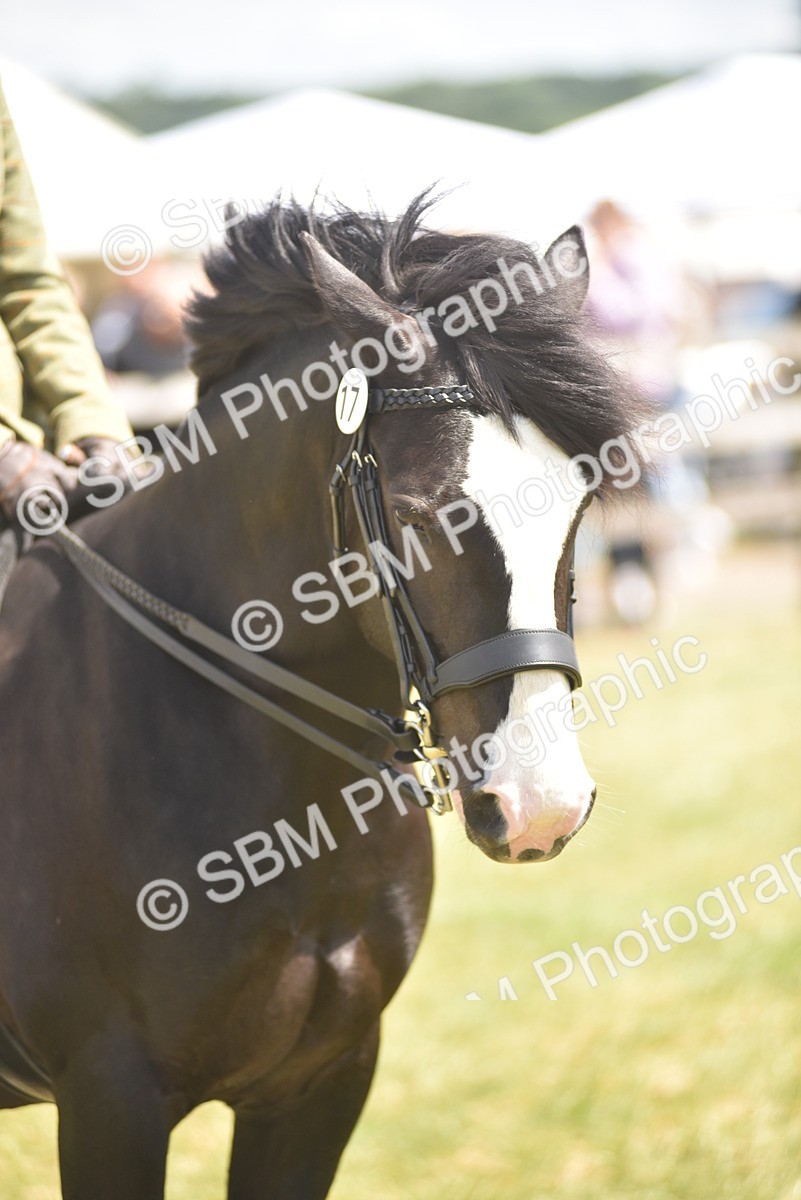 SBM_15852 - Class 115-116 - SSADL Home Produced Members Qualifier