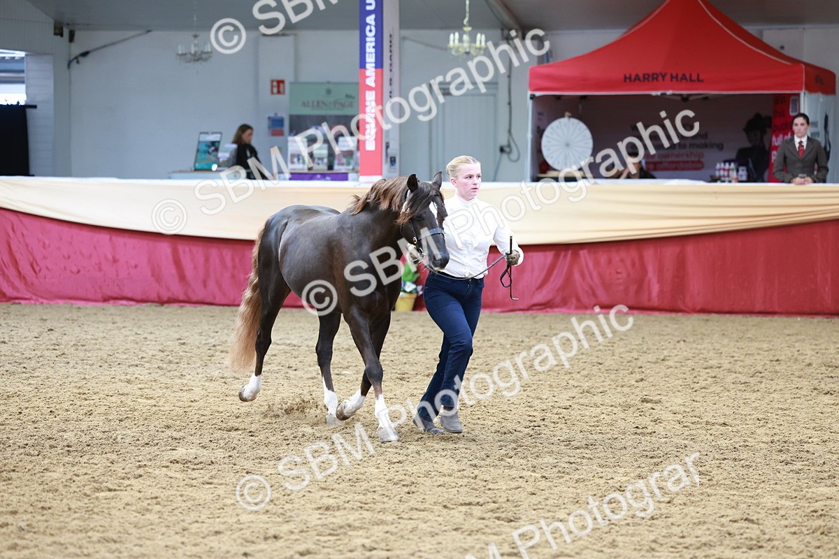 SBM_17511 - Class 951 - M&M IH Supreme Final