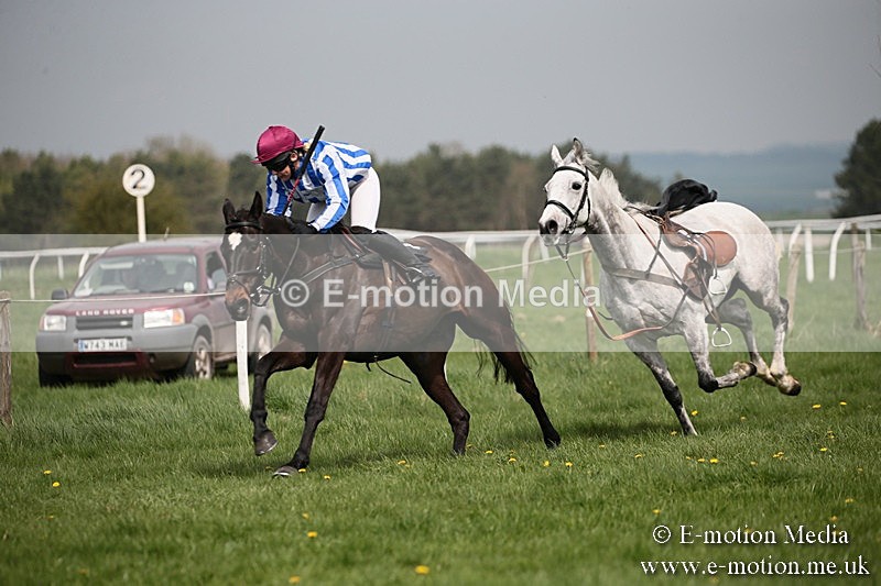 PtP 210418 26 - South & West Wilts Point-to-Point Larkhill 21/04/18