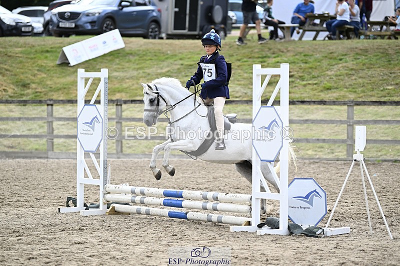 240822X-150829-11552 - 40cm A R2 15.00 to 16.16