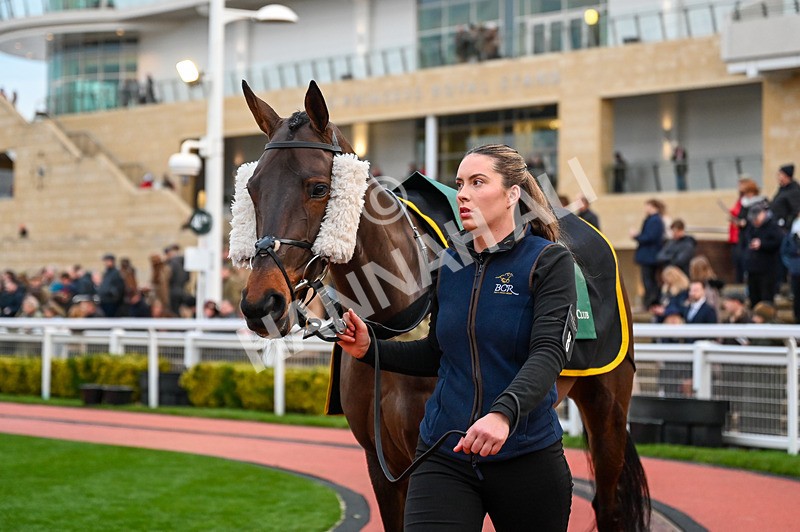 141224-Race 7-Endless Escape-1023 - Race 7