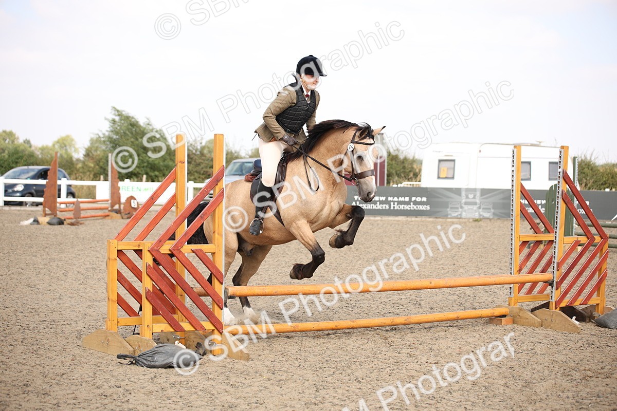 SBM_14156 - Class 407a - Working Veteran 60cm (15-19