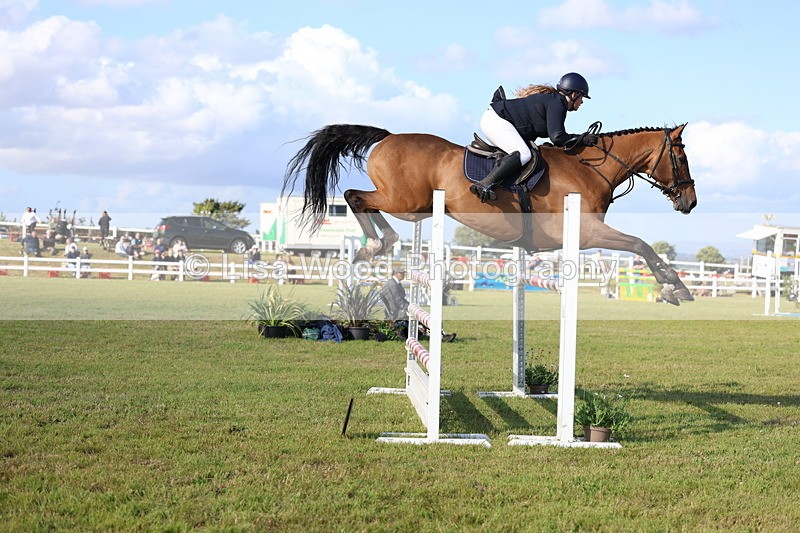 3E7A4337 - Class C: Showjumping Senior Foxhunter