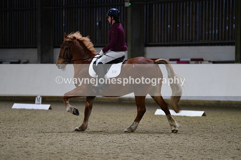 WJ5_8622 - Class 5 Novice Test 3