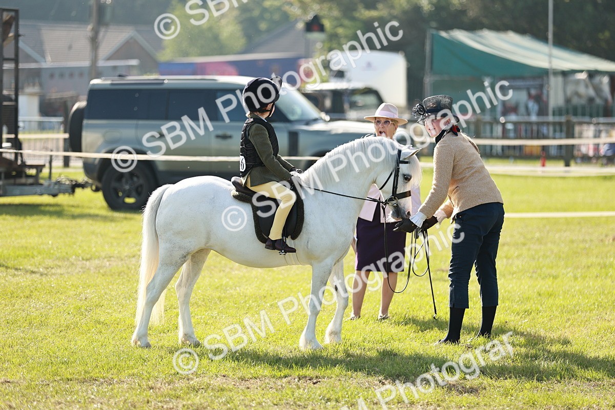 SBM_11227 - Class 106-107 - BSPS LIHS Working Sports Pony