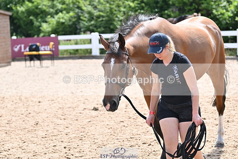 240717A-152416-02813 - Trot Up 3pm to 4pm