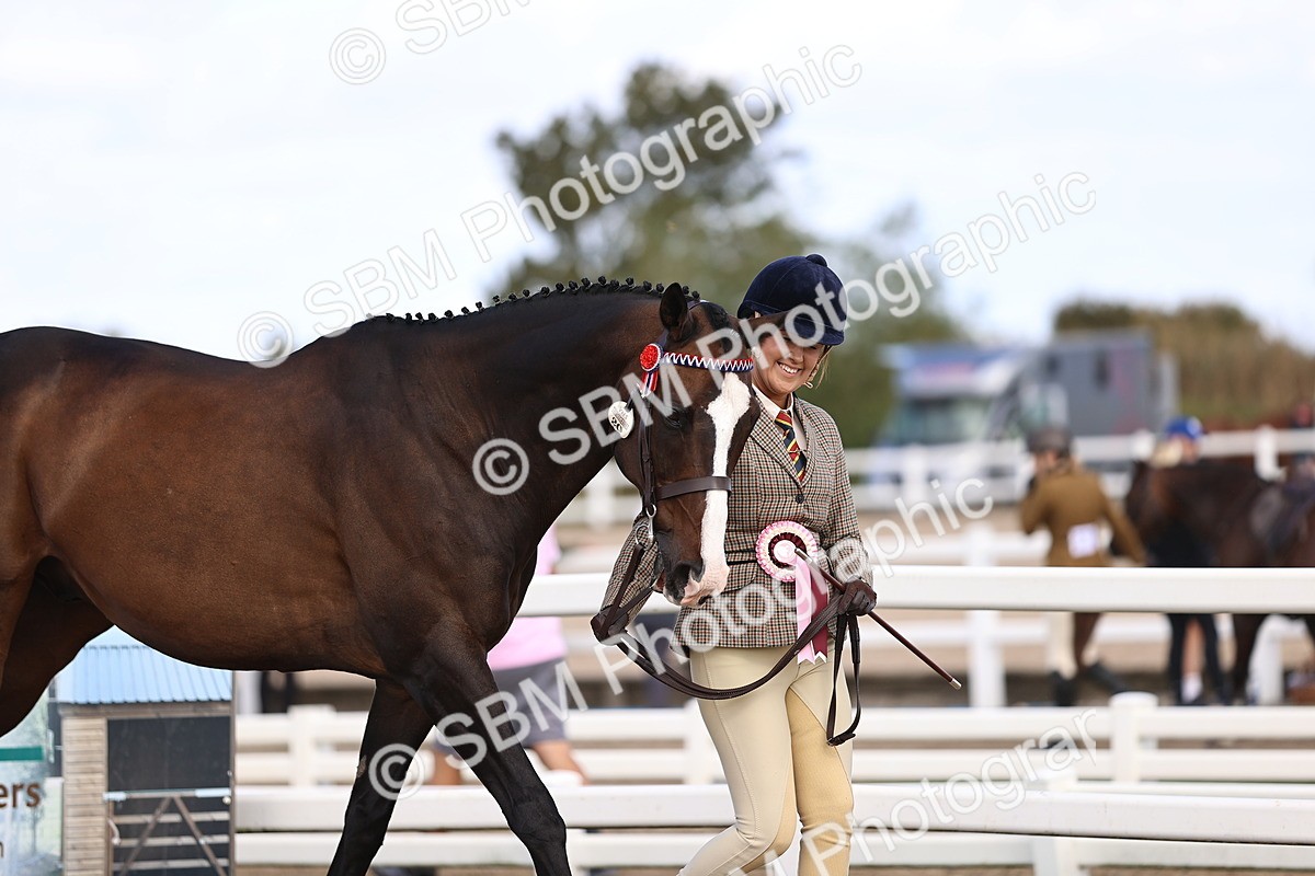 SBM_11574 - Class 407 - IH Hack-Riding Horse