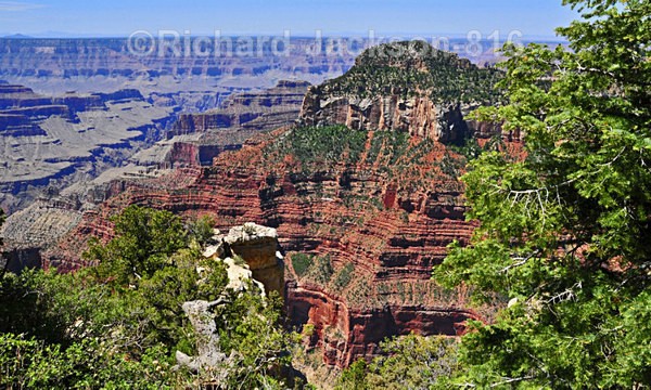 North Rim - 4 - Grand Canyon - North Rim