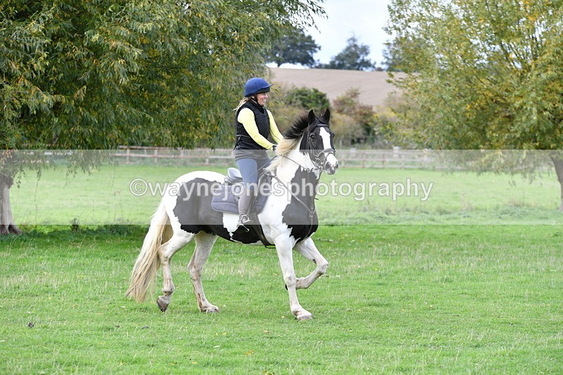 WJ5_0979 - Time 14:29 to 15:31