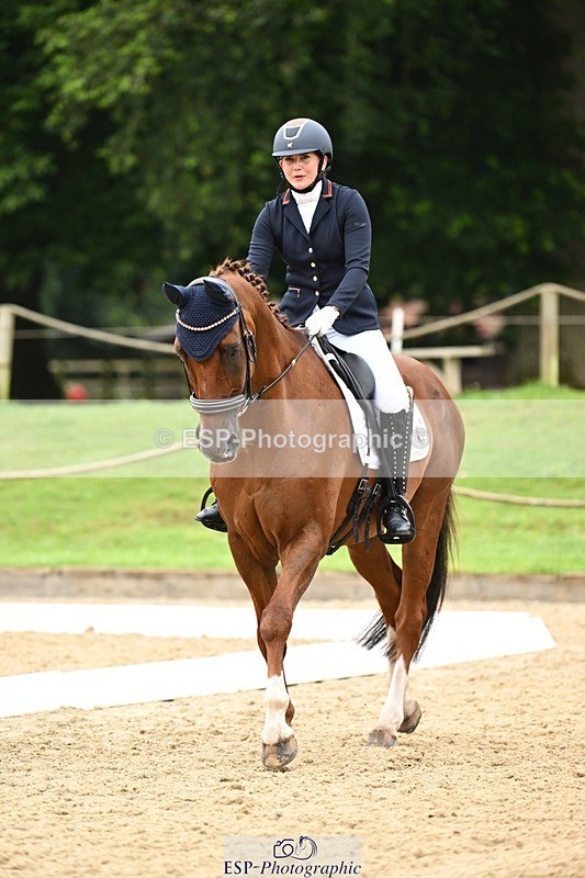 240811-101647-04975 - 110-Helen.Kitto-Da.Vinci.IV