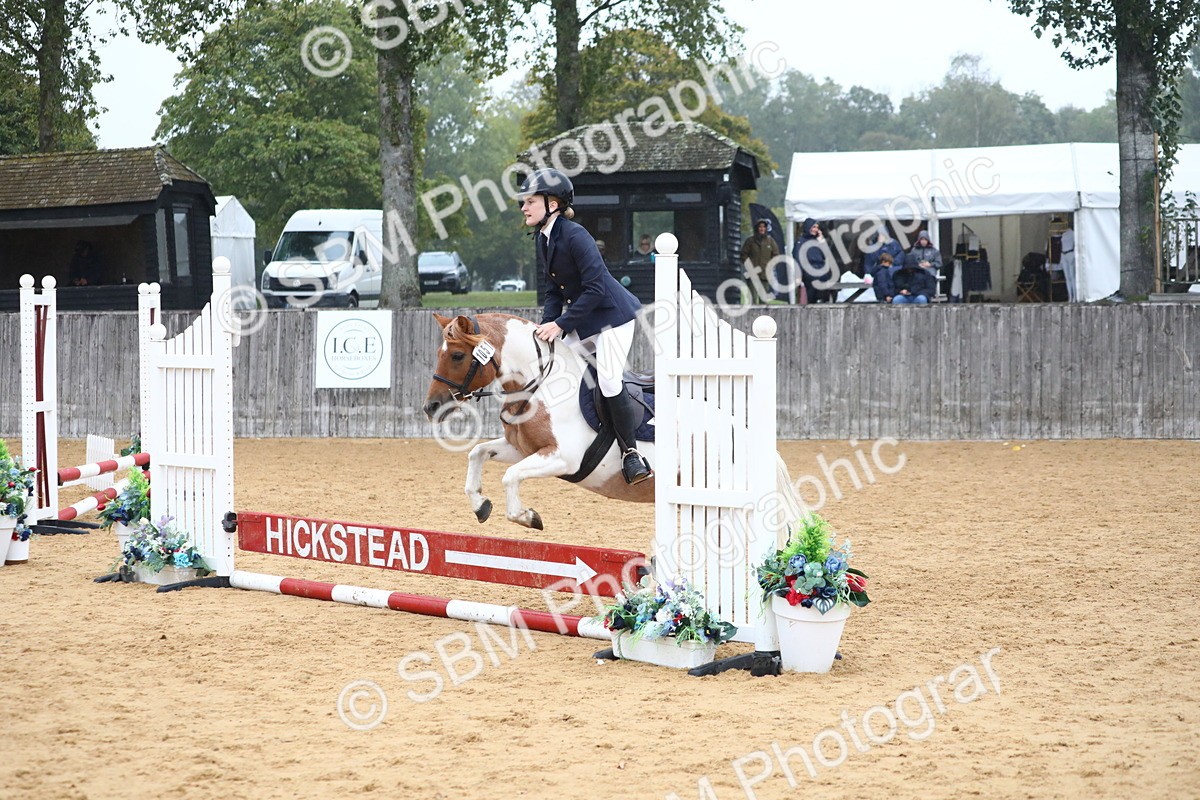 SBM_71777 - J4 - Mini Tour Junior Pony 45cm Championship