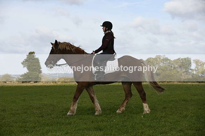 _DSC6114 - Time 11:23 to 12:05