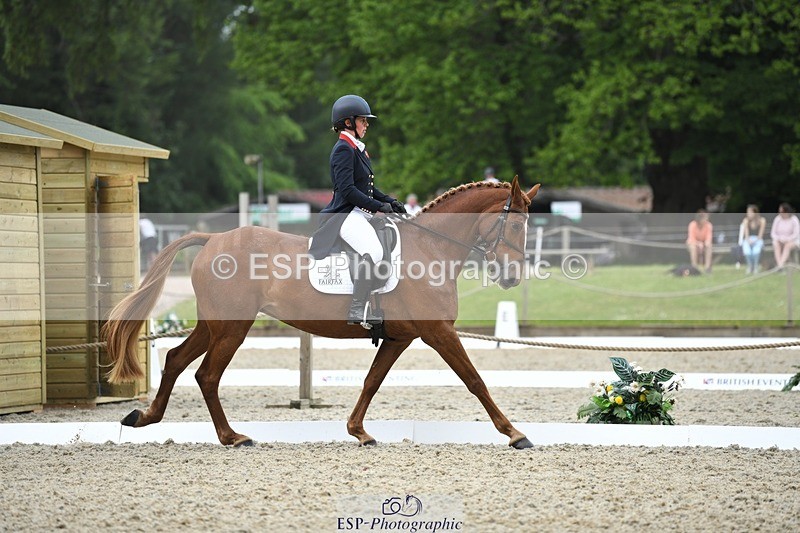 230525-125645-02061 - 112-BILLY_MAPLE-Kitty_King-WEDTrotUp+DR