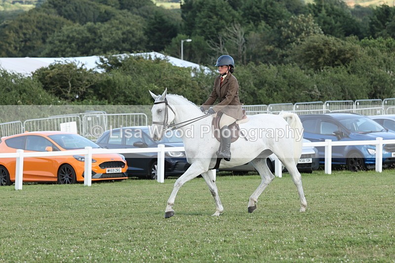 JPP_3694 - Class 24: Open Working Hunter