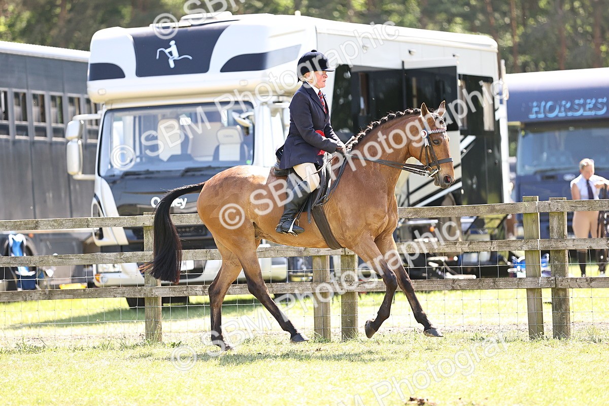 SBM_18099 - Class 81-83 - TSR Ridden Amateur of the Year - Horses