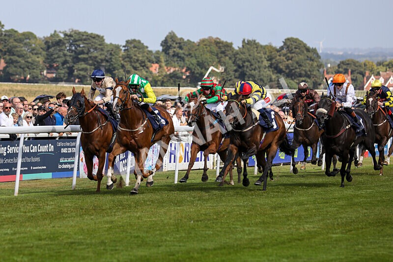 310824-Race 3-Frank The Spark-1324 - Race 3