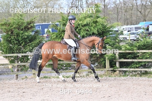 BPP_6944 - RING 1  (RIDDEN HORSES / IN HAND / VETERAN ETC)