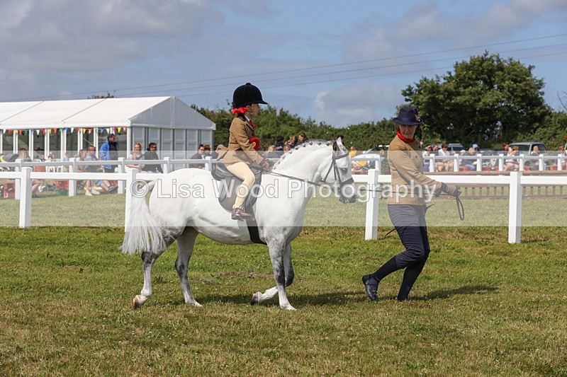 1X9A3842 - Plaited Mini Ridden Championship