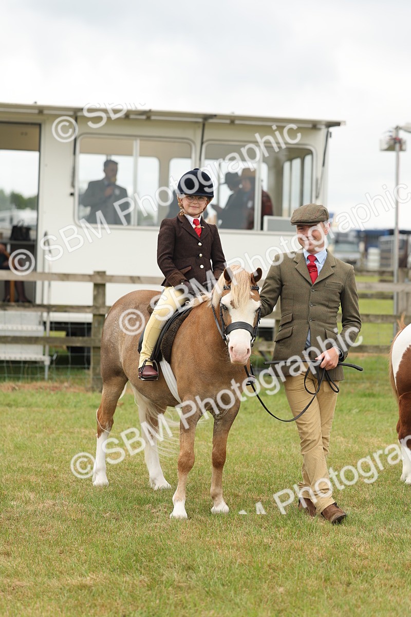 SBM_06784 - Class 74-75 - M&M Lead Rein and First Ridden Pony
