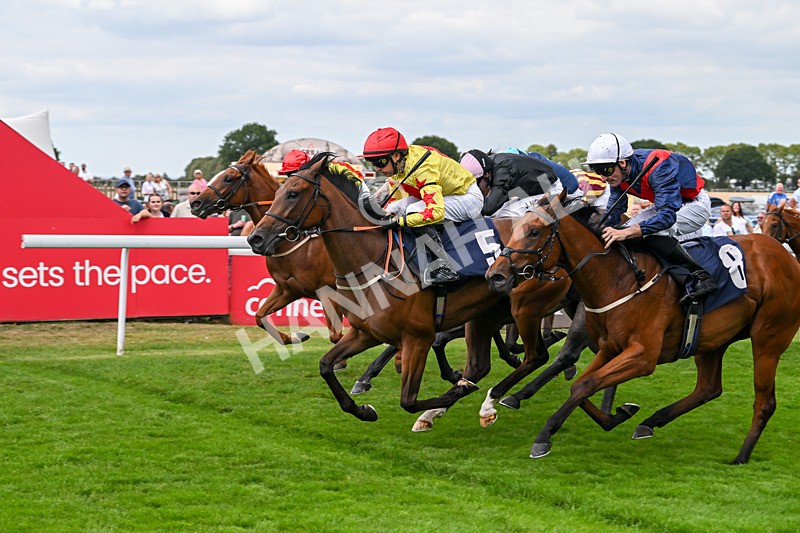 140825-Race 3-Rum Therapy-1055 - Race 3