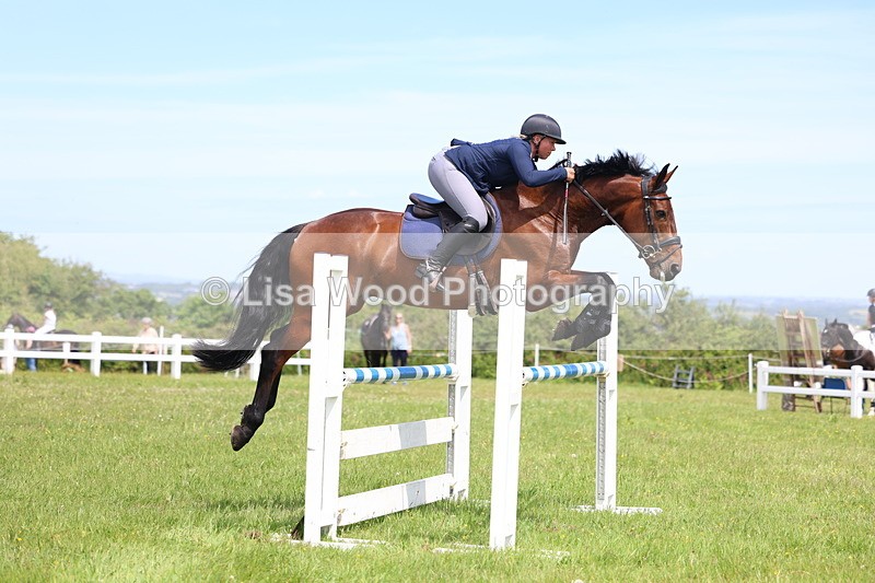 3E7A1367 - Class 12: Senior Foxhunter/1.20 open