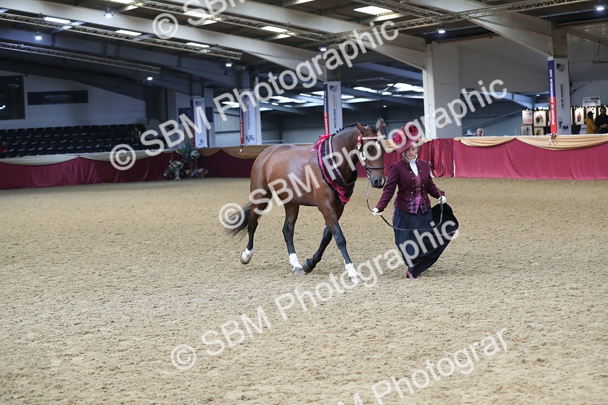 SBM_10783 - Class 103 IH Costume