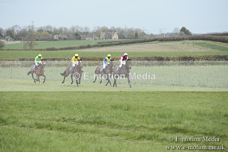 PtP 230319 25 - VWH Hunt Siddington Point-to-Point Racing 23/03/19