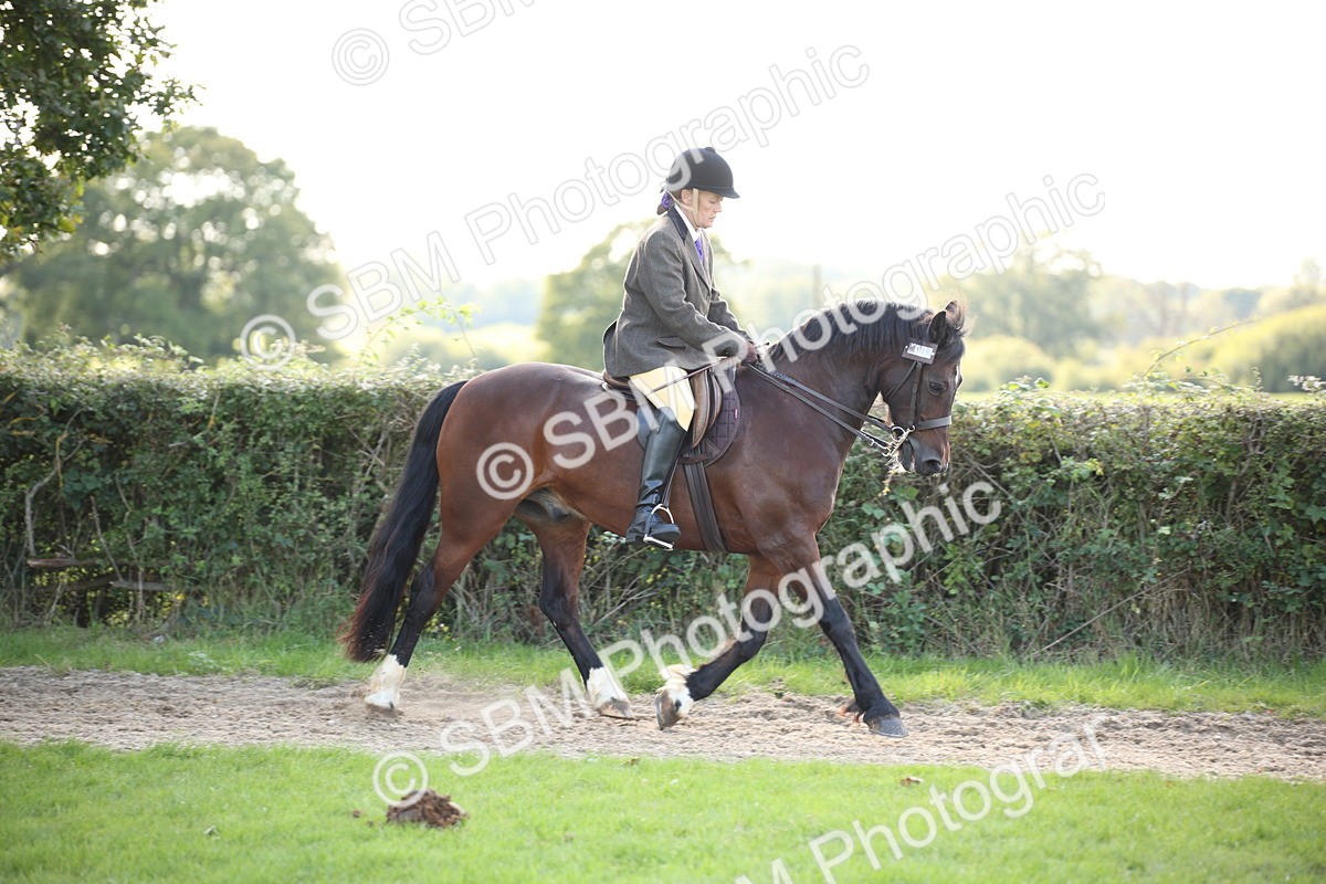 SBM_50107 - S26 - Young Veteran - Ridden