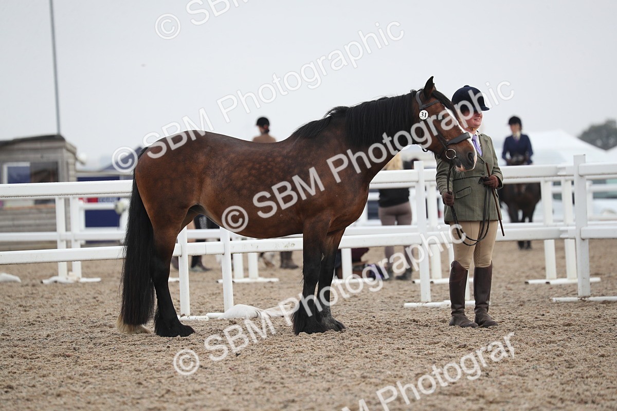 SBM_22525 - Class 604 - 2025 Area - IH Diamond