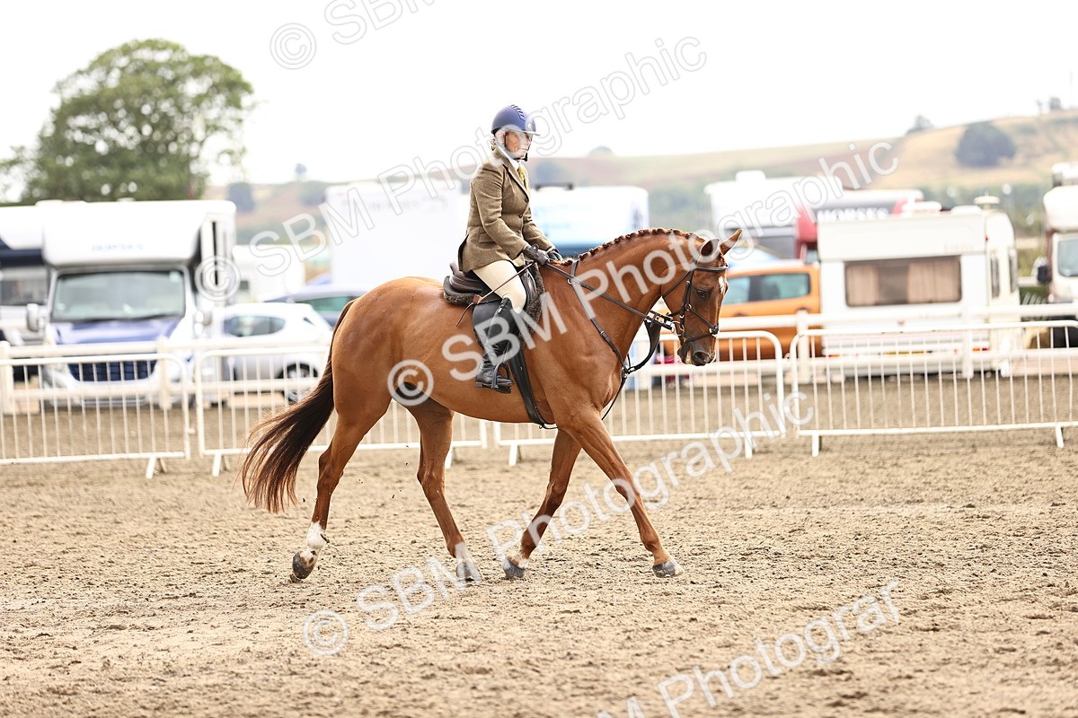 SBM_00650 - Class 53 - Ridden Competition Horse Pony