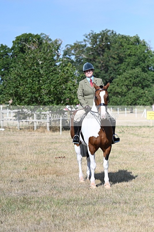 WJ7_2870 - Class 8 Ridden Tack & Turnout