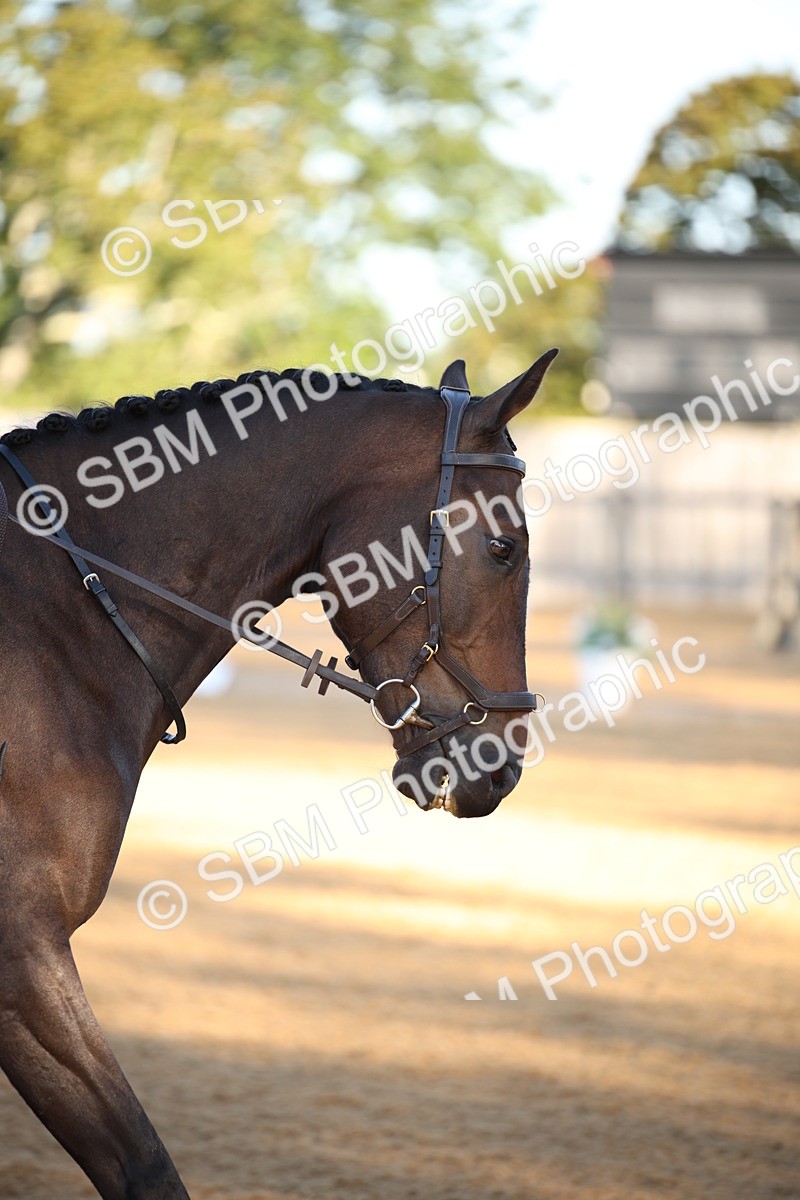 SBM_14601 - D31 - Grand Tour - PYO Open