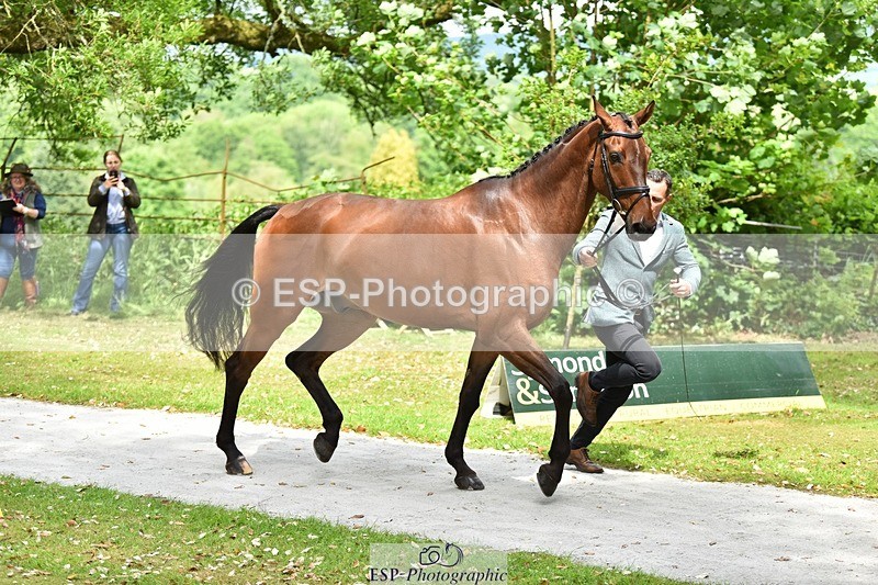 240522-150020-00035 - 301-CAMOUFLAGE-Alexander_Bragg