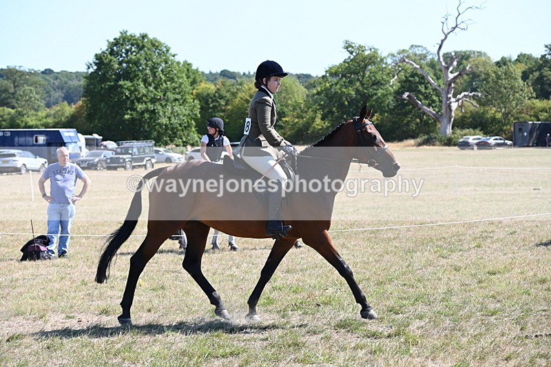 WJ6_8367 - Class 37a Best Loan Pony Ridden