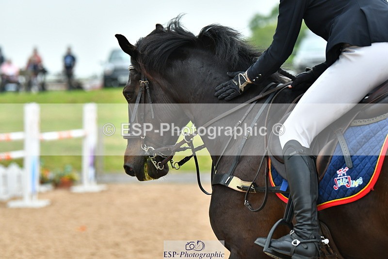230610A-135725-03688 - Cls 16 Foxhunter