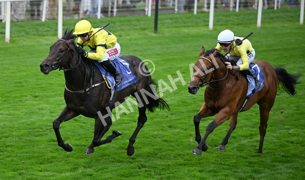 220825-112 Lifeplan - Race 3 3.00pm Al Basti Equiworld Dubai Gimcrack Stakes