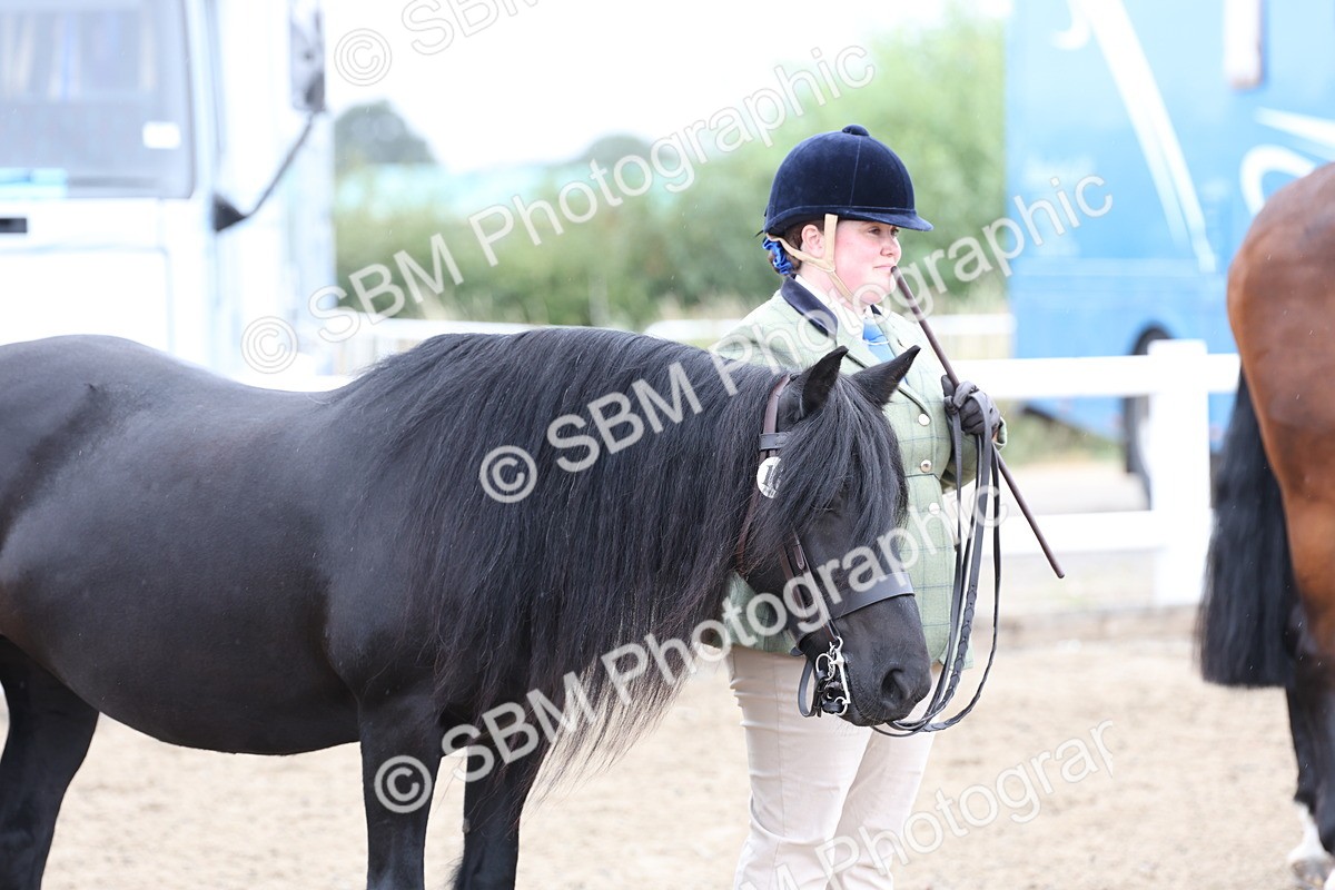 SBM_00079 - Class 50 - Best Turned Out IH