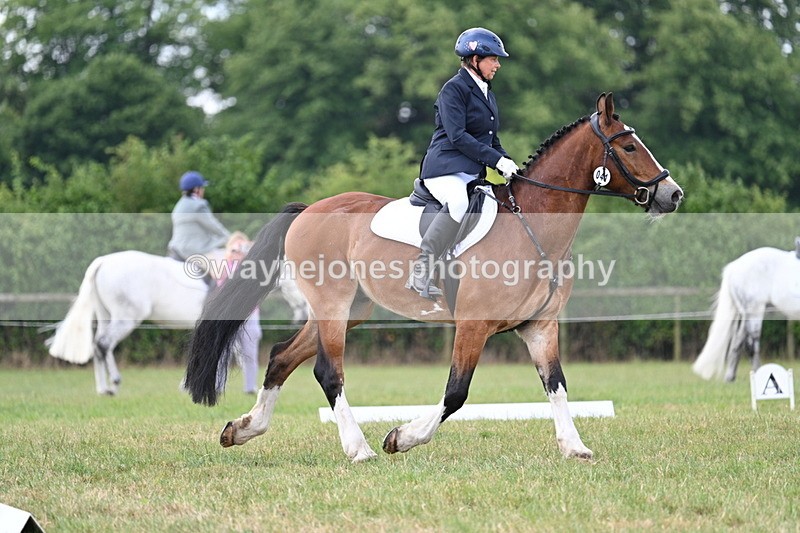 WJ7_4634 - Time 10:59 to 11:17