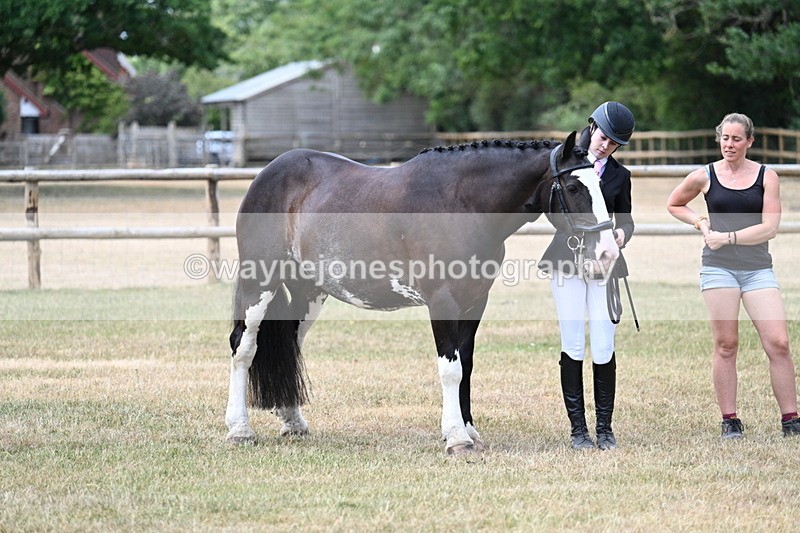 WJ7_1851 - Class 4a Prettiest Mare 14.2hh and over hand