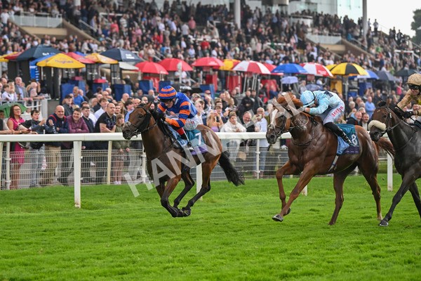 080924-Race 4-Zain Blue-9240 - Race 4 3.25pm PJ Staffing Group Handicap