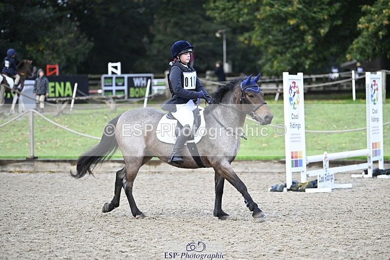 251005A-085452-02881 - Cls 02 GR 50cm