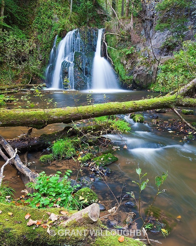 Fairy Glen -  processing old files - Woods Trees Gorges and Waterfalls