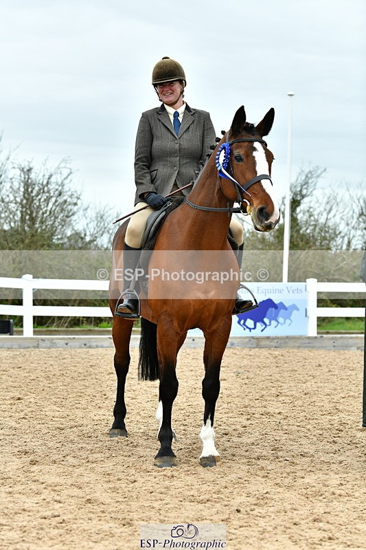 230416A-140040-04982 - Cls 60 Ridden Show Horse