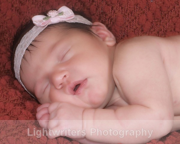 Buckle 39 - Baby Harper