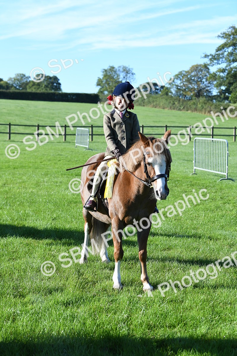 SBM_34129 - S16 - Condition & Turnout - Ridden